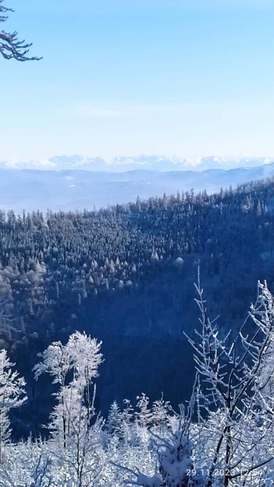 Dom Wypoczynkowy Pod Polanka Korbielow Luaran gambar