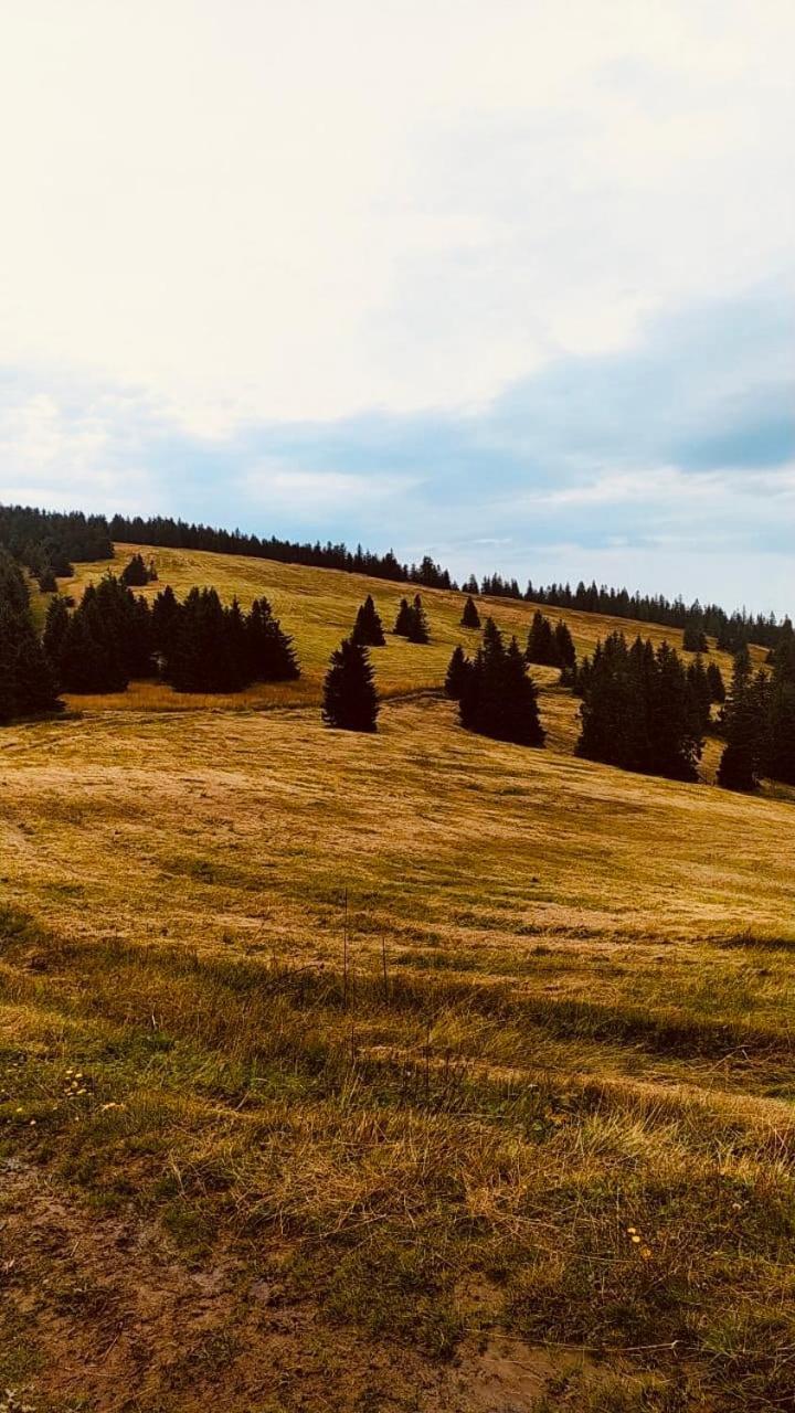 Dom Wypoczynkowy Pod Polanka Korbielow Luaran gambar