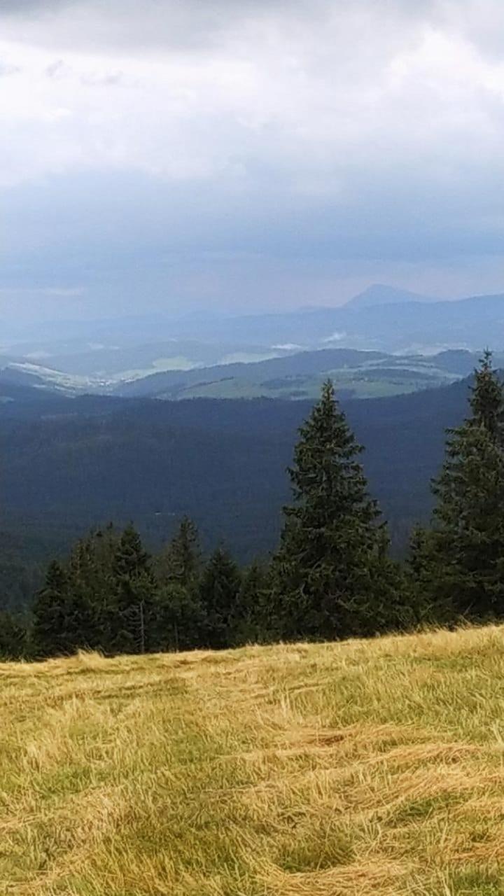 Dom Wypoczynkowy Pod Polanka Korbielow Luaran gambar