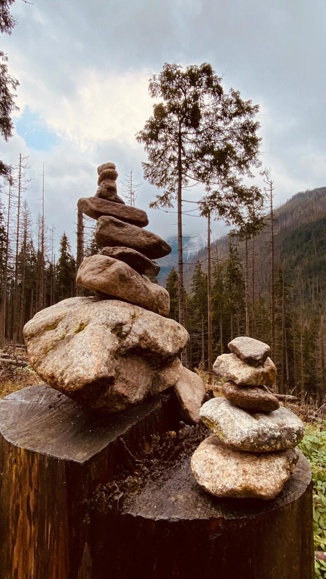 Dom Wypoczynkowy Pod Polanka Korbielow Luaran gambar