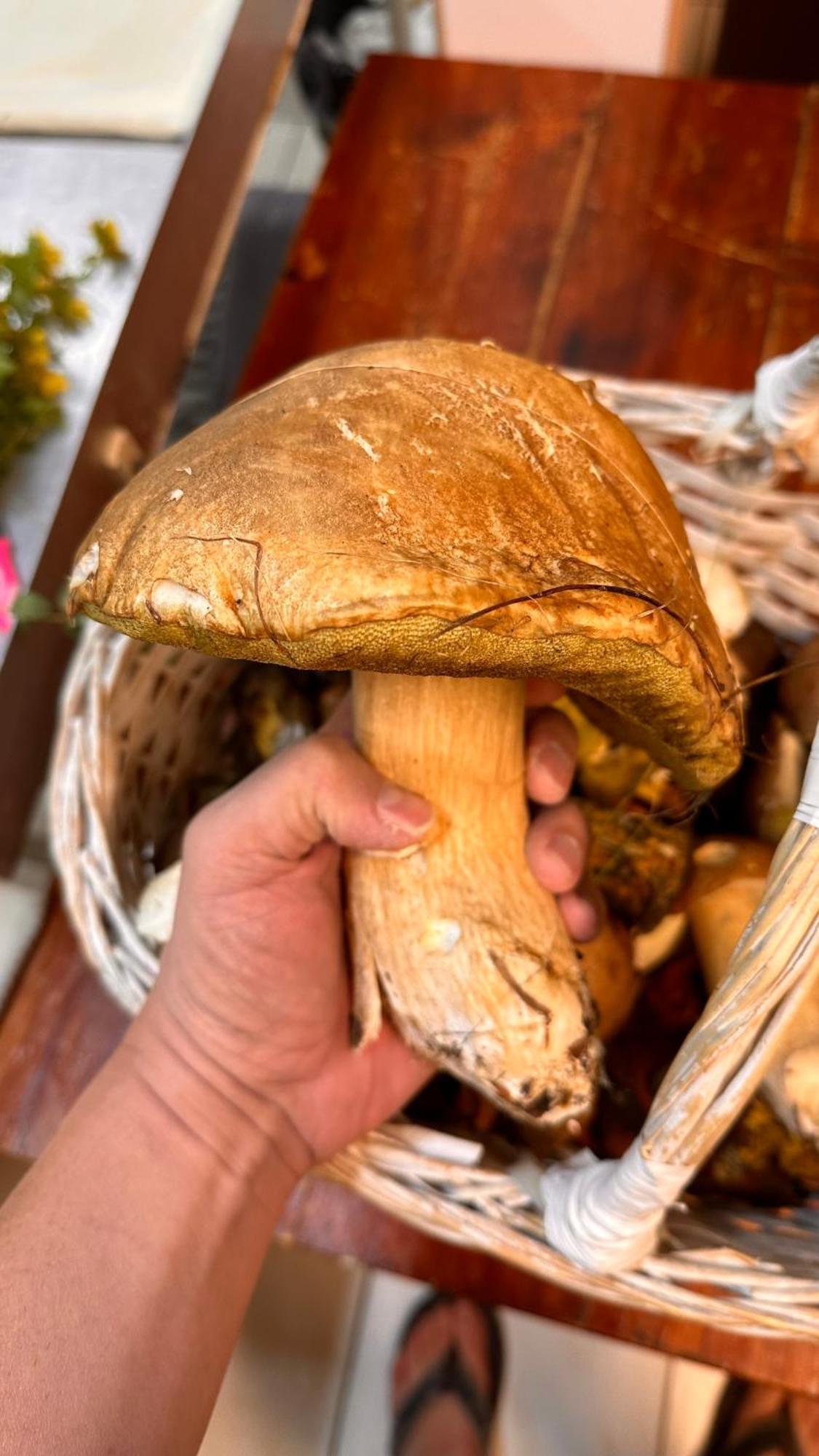 Dom Wypoczynkowy Pod Polanka Korbielow Luaran gambar